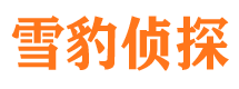 永仁市侦探调查公司